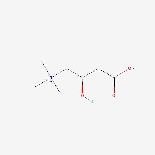 L-Carnitine 2D molecular structure